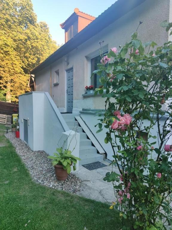 Przytulny Pokoj W Zacisznej Okolicy Z Lazienka Wspolna Dla Dwoch Pokoi Sopot Esterno foto